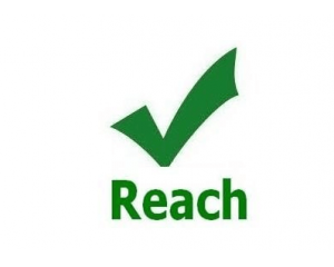 REACH֤