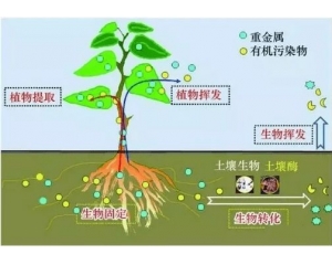 持久性有机污染物（POPs）法规（EU）2019/1021