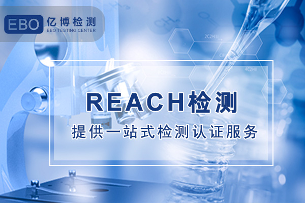 最新的reach检测有多少项？